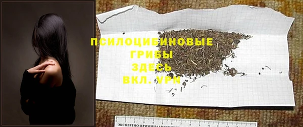 мет Бородино