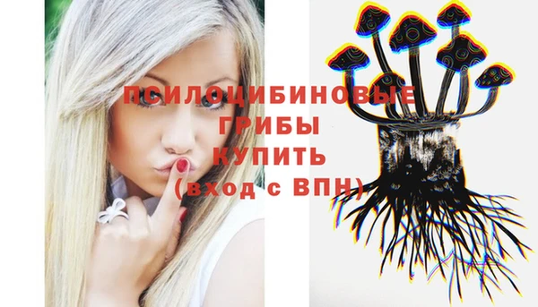 скорость Бронницы