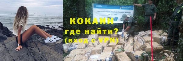 мет Бородино