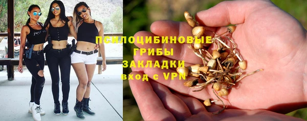 мет Бородино
